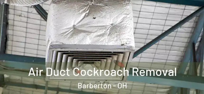  Air Duct Cockroach Removal Barberton - OH