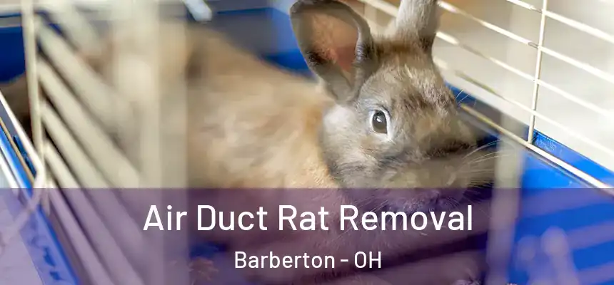  Air Duct Rat Removal Barberton - OH