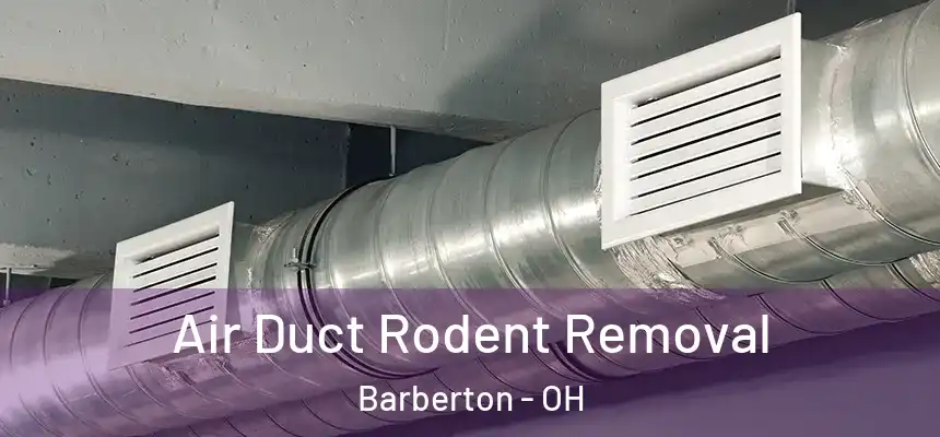  Air Duct Rodent Removal Barberton - OH