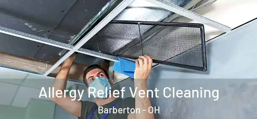  Allergy Relief Vent Cleaning Barberton - OH