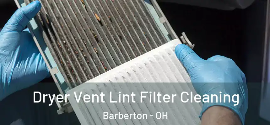  Dryer Vent Lint Filter Cleaning Barberton - OH