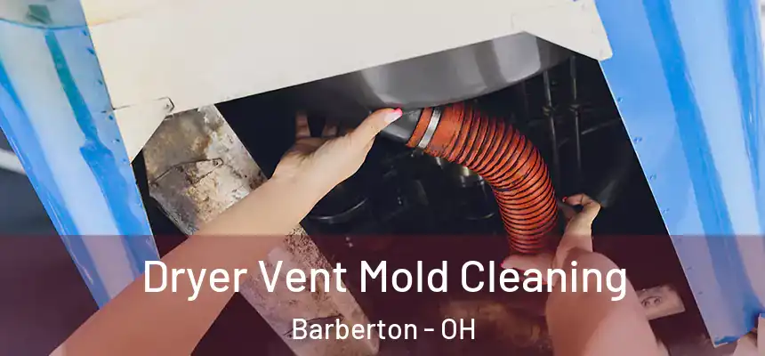  Dryer Vent Mold Cleaning Barberton - OH