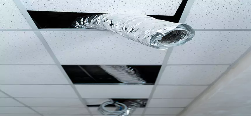 Affordable HVAC Sanitizing After Pest Removal in Barberton