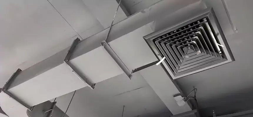 Restorative Allergy Relief Vent Cleaning – Coil, Blower & Housing Detail in Barberton