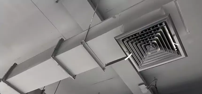 Our Rodent Droppings In Vents Services in Barberton, OH