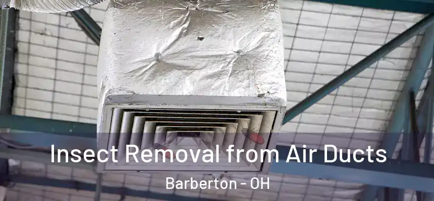  Insect Removal from Air Ducts Barberton - OH