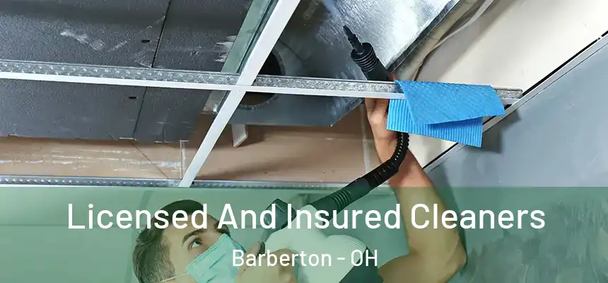  Licensed And Insured Cleaners Barberton - OH