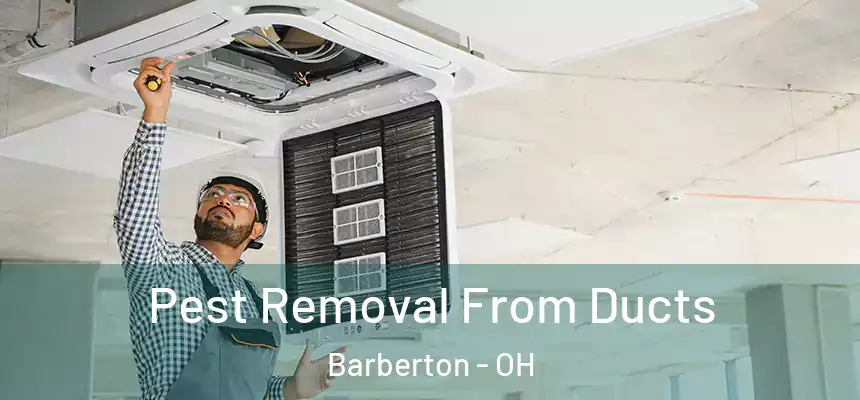  Pest Removal From Ducts Barberton - OH