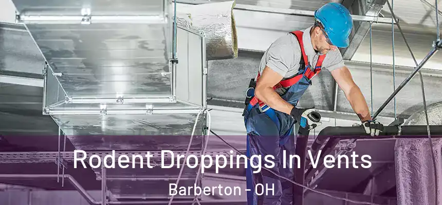  Rodent Droppings In Vents Barberton - OH