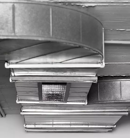 Professional Air Duct Pest Removal in Barberton, OH